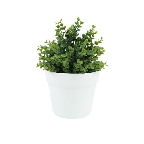 Botanicals Collection Artificial Eucalyptus Plant In Pot 16cm