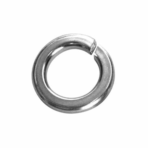 Champion Spring Washers 1/4 Inch Stainless Steel 316 Pack of 20