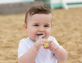 Cherub Silicone Fresh Food Feeder & Teether - Lemon & Grey