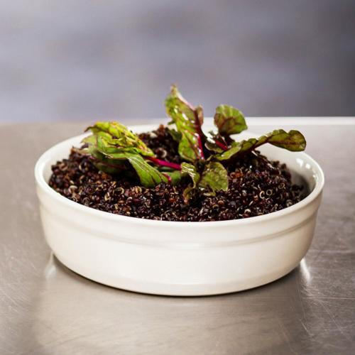 Emile Henry Ramekin 10cm - Blue Ocean