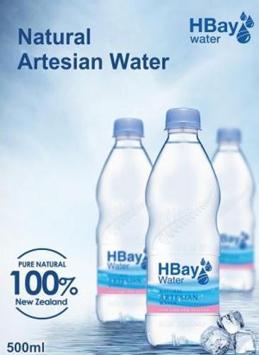 Artesian Water PET Bottle 500ml Pack of 24 - HBay Water