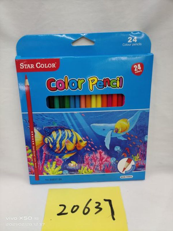 Colour Pencil - Fish 24pcs (12 Packs)