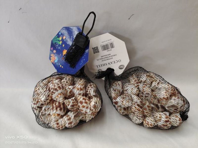Ocean Shell 4 - 100g (12 Packs)