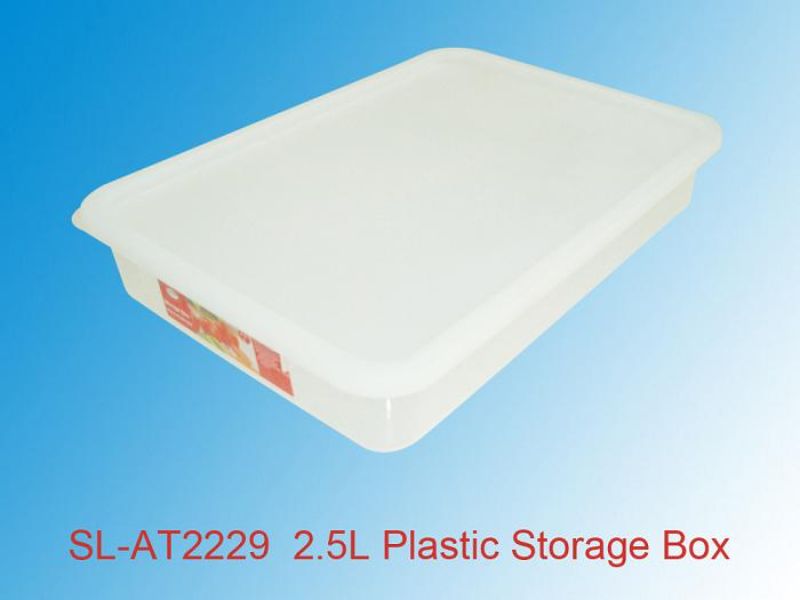 Plastic Keep Fresh Box - 2.5L (Set of 12)