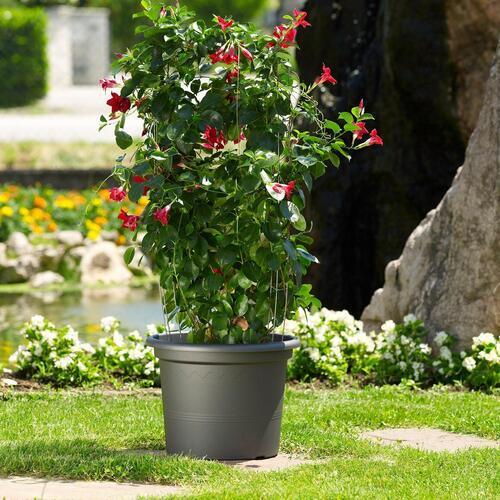Euro3Plast Geo Pot 40cm Charcoal