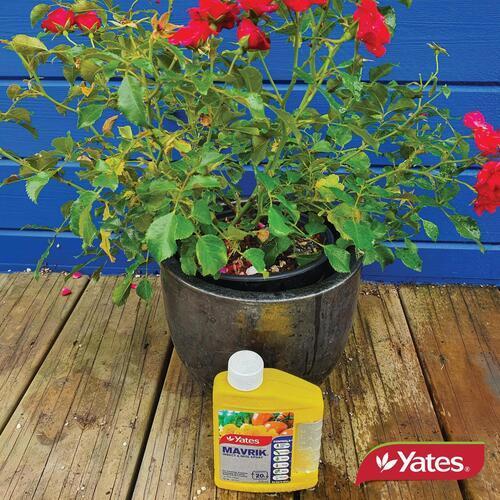 Mavrik Insecticide 200ml - Yates