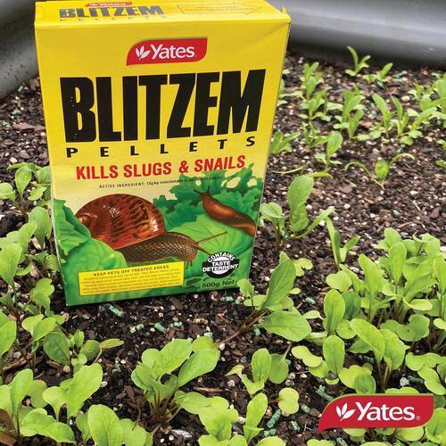 Blitzem Slug & Snail Bait 1kg - Yates