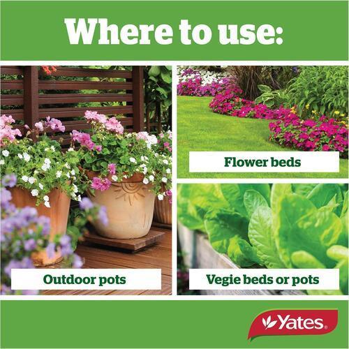Thrive ALL PURPOSE PLANT FOOD 500g - Yates
