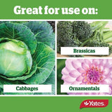 Nature's Way Derris Dust 500g - Yates