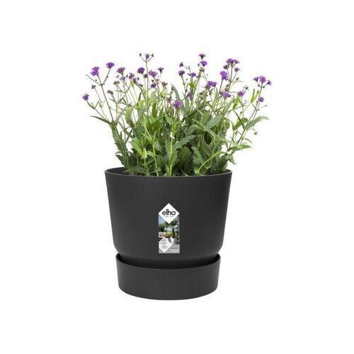 ELHO Greenville Plastic Pot With Saucer Black 20cm