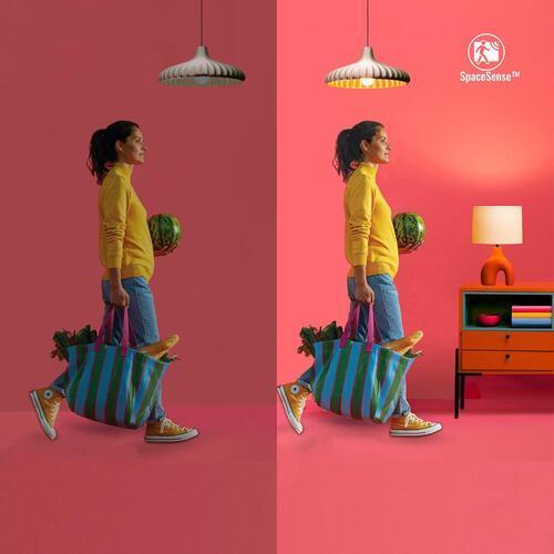 WiZ Smart Plug