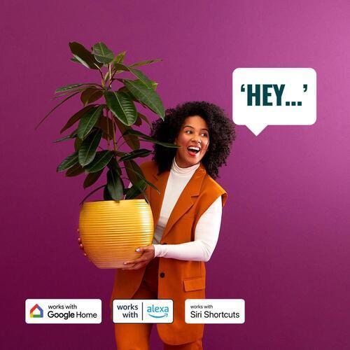 WiZ Smart Plug