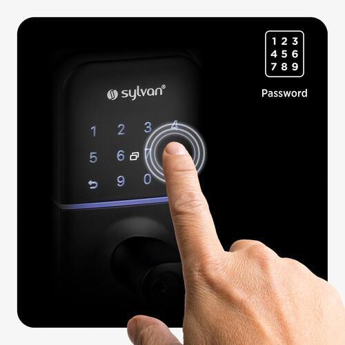 Sylvan Electronic Smart Lever Handle Black Finish