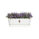 ELHO Greenville Plastic Trough With Saucer White 50cm