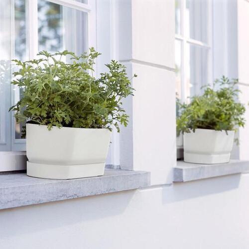 ELHO Greenville Plastic Trough With Saucer White 50cm