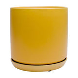 Bloom Indoor Adelle Pot And Saucer 6cm Mustard