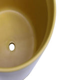 Bloom Indoor Adelle Pot And Saucer 6cm Mustard