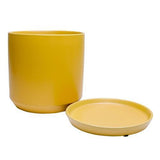 Bloom Indoor Adelle Pot And Saucer 6cm Mustard