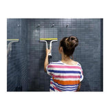Karcher W6 Plus Window Vac