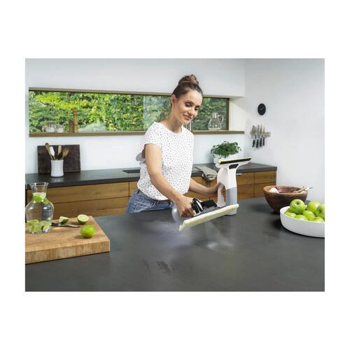 Karcher W6 Plus Window Vac