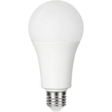 GE Lighting LED E27 Light Bulb 17 Watts Cool White