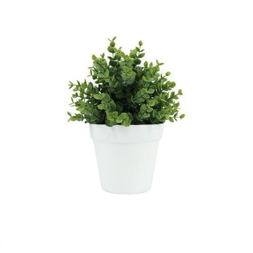 Botanicals Collection Artificial Eucalyptus Plant In Pot 12.5cm