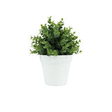 Botanicals Collection Artificial Eucalyptus Plant In Pot 12.5cm