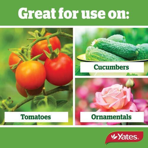 Liquid Copper Fungicide 500ml - Yates