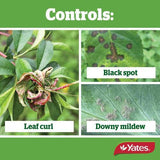 Liquid Copper Fungicide 500ml - Yates
