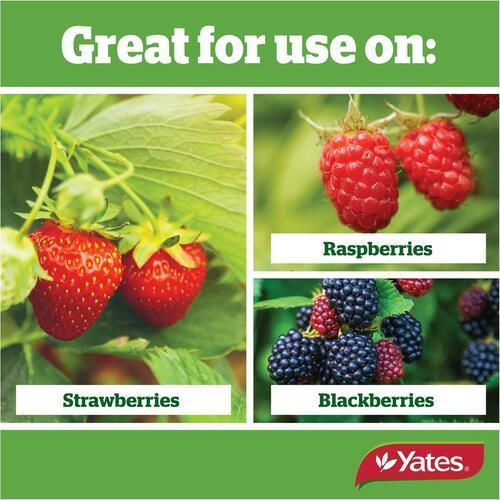 Thrive Liquid Fertiliser Strawberry & Berry Concentrate 500ml - Yates