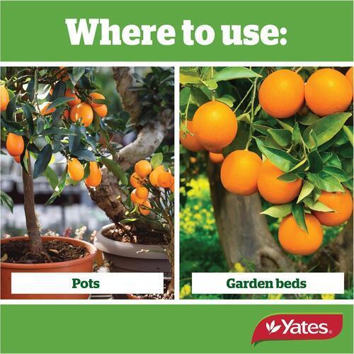 Thrive Fertiliser Liquid Citrus Thrive Concentrate 500ml - Yates