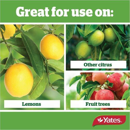 Thrive Fertiliser Liquid Citrus Thrive Concentrate 500ml - Yates