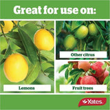 Thrive Fertiliser Liquid Citrus Thrive Concentrate 500ml - Yates