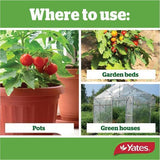 Thrive Tomato Liquid Plant Food 500ml - Yates