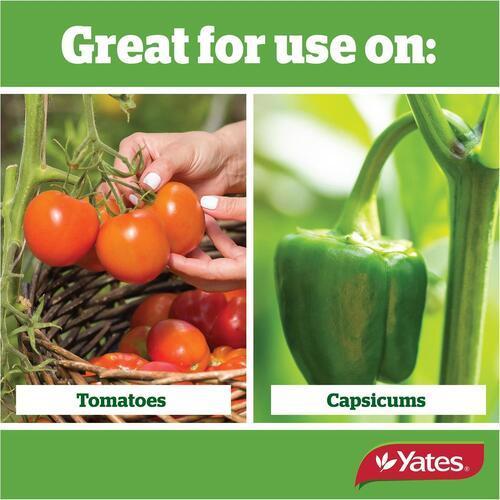 Thrive Tomato Liquid Plant Food 500ml - Yates