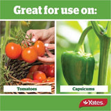Thrive Tomato Liquid Plant Food 500ml - Yates