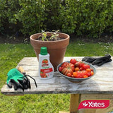 Thrive Tomato Liquid Plant Food 500ml - Yates