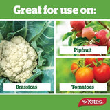 Insecticide Success Ultra 200ml - Yates