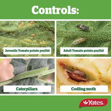 Insecticide Success Ultra 200ml - Yates