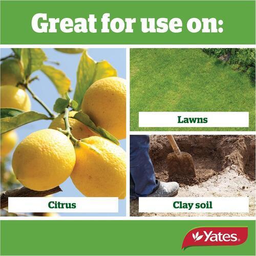 Yates Thrive Natural Dolomite Lime Fertiliser 2.5Kg