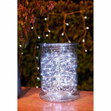 Nouveau 100 Seed Lights 10.2m White