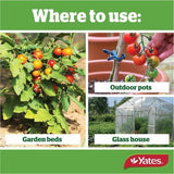 Thrive Tomato Plant Food 2Kg - Yates