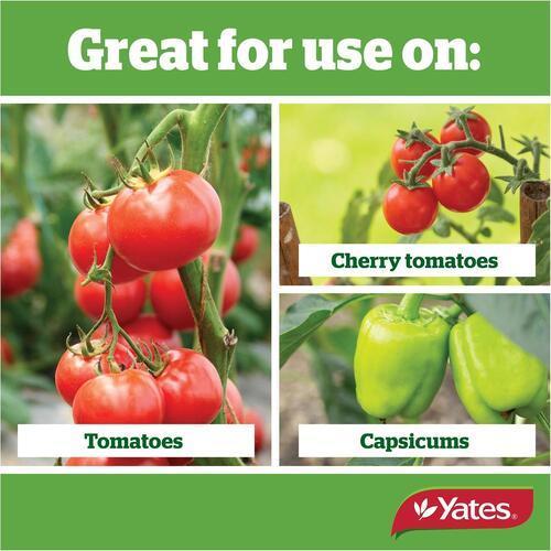 Thrive Tomato Plant Food 2Kg - Yates