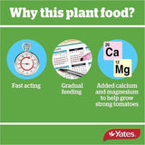 Thrive Tomato Plant Food 2Kg - Yates