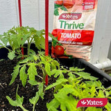 Thrive Tomato Plant Food 2Kg - Yates