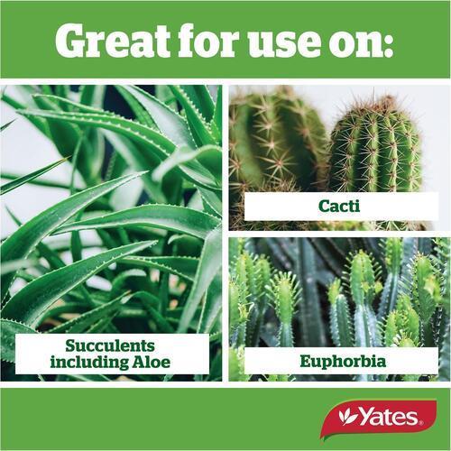Cacti & Succulent Fertiliser Spikes 30 Pack - Yates