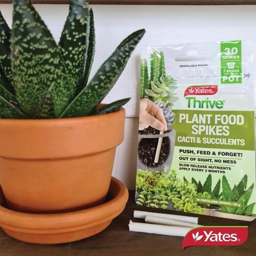 Cacti & Succulent Fertiliser Spikes 30 Pack - Yates