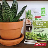 Cacti & Succulent Fertiliser Spikes 30 Pack - Yates