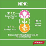 Thrive Indoor Plant Fertiliser 500ml - Yates
