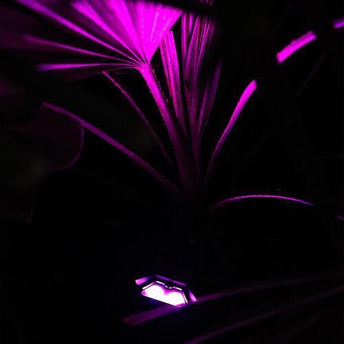Vectral Architectural Twin Spotlight Colour Changing